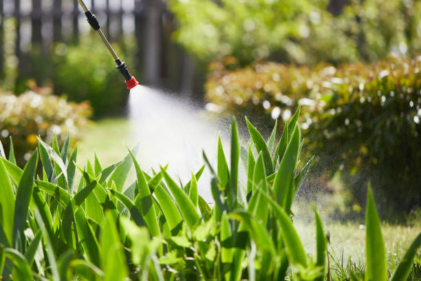 Tamper-Resistant Bait Stations for Rodents in Sharpsville