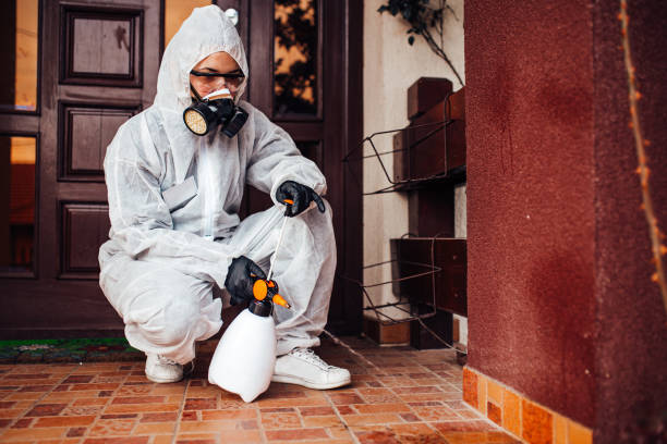 Attic and Crawl Space Rodent Treatment in Sharpsville