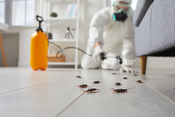 Commercial Rodent Management in Sharpsville